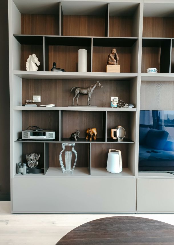 bibliothèque avec éléments de décoration